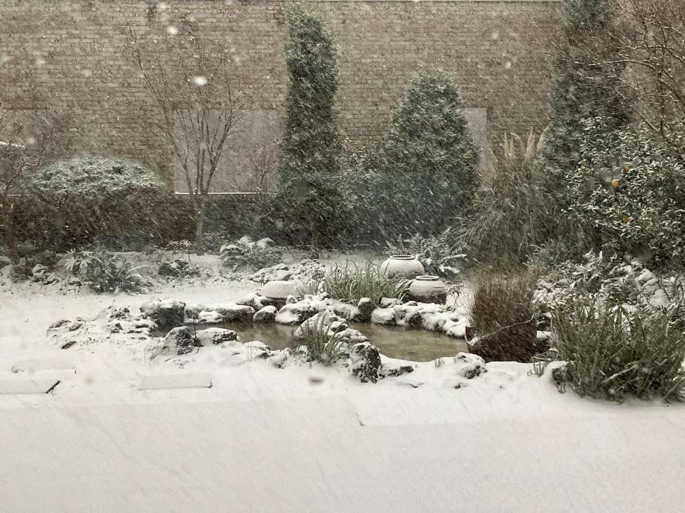 금성출판사 푸르넷공부방 썸네일