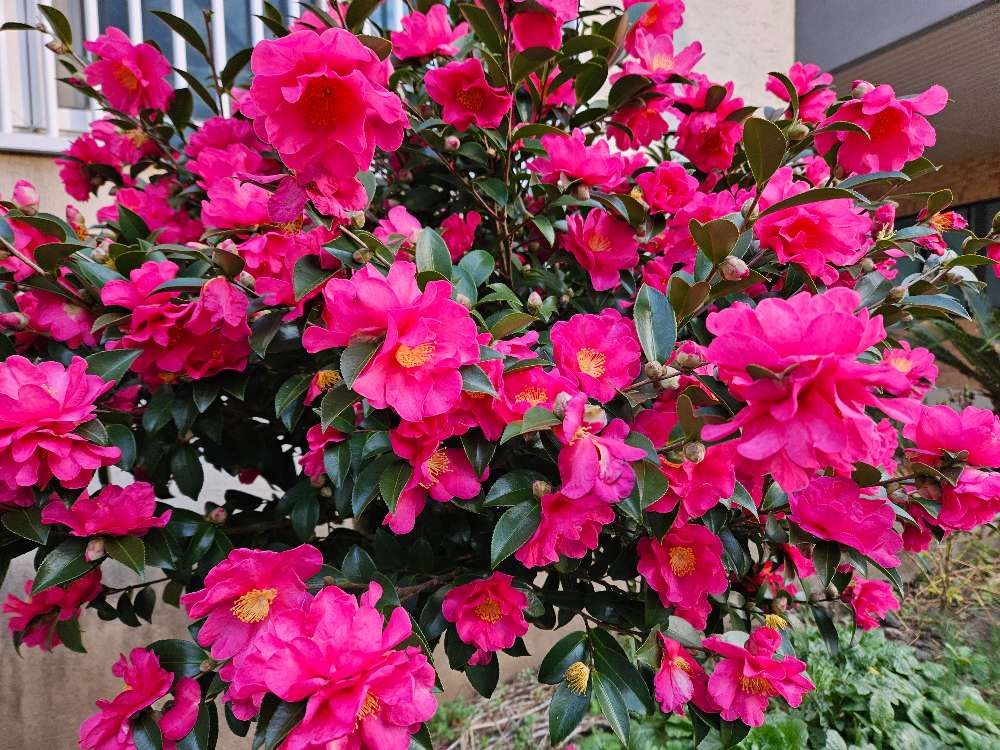 영어공부방 썸네일