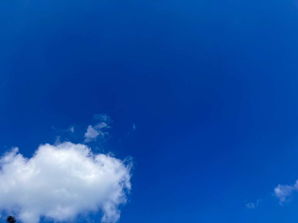 금성출판사 푸르넷공부방 썸네일