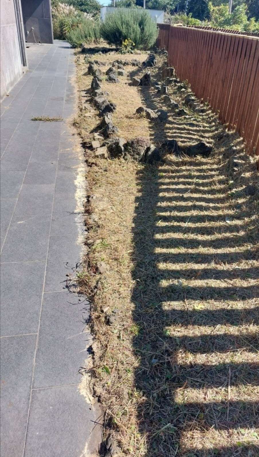 제주도깨비 예초 벌초 대행 사진_4