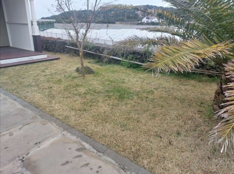 제주도깨비 예초 벌초 대행 사진_10