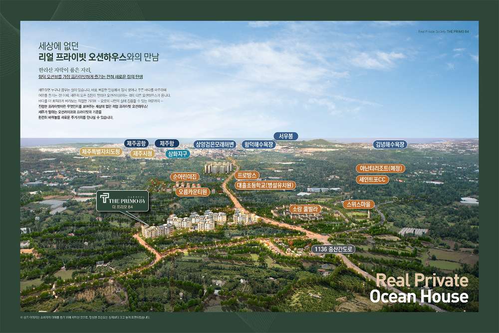 함덕바다를 품은 더 프리모 84